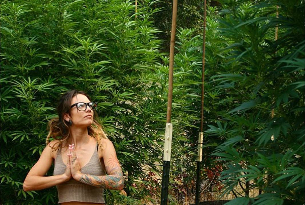 Cannabis et yoga