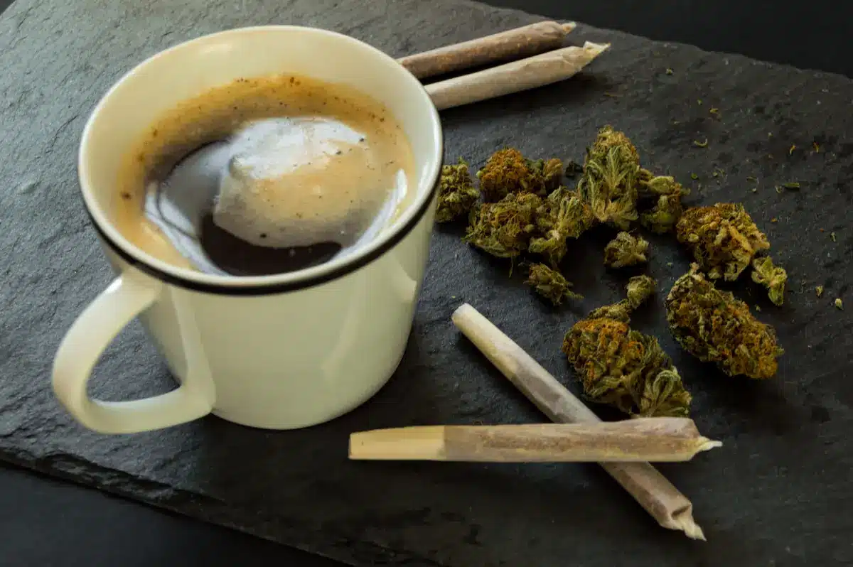 Unterschiede zwischen Cannabisclub und Coffeeshop in Barcelona